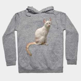 Flame Point Cat Blep Hoodie